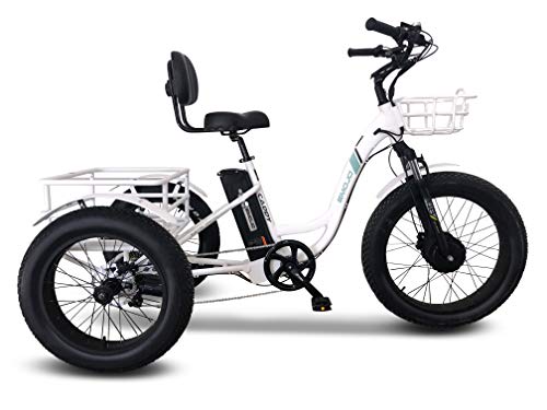 Emojo Caddy/Caddy Pro Fat Tire Electric Tricycle 500W 48V Electrc Trike with Lithium Rechargeable Battery, Oversize Rear Basket and Front Basket for Heavy-Duty Carrying or Delivery