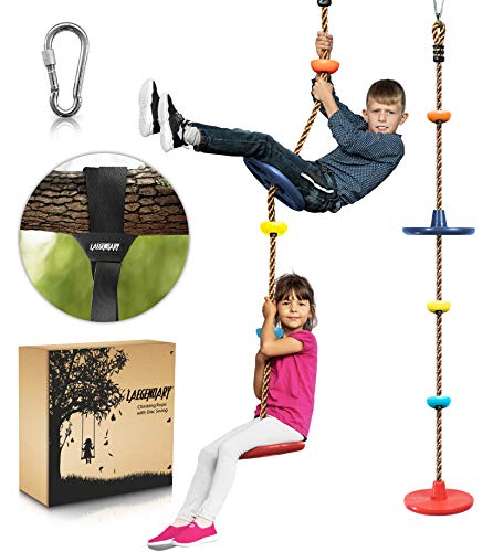 LAEGENDARY Tree Swing for Kids - Double Disk Outdoor Climbing Rope w/ Platforms, Carabiner & 4 Ft Tree Strap - Playground Accessories - Multicolored