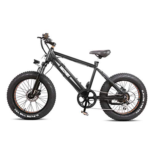 Electric Bikes for Adults, Dual Disc Brake Electric Mountain Bike, 20" 350W Motor Electric Bicycle&48V10AH Removable Lithium Battery