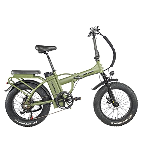 750W 500W 20Inch Folding Electric Bike I-PAS 7 Speed 48V 13AH Removable Lithium Battery 4.0/3.0 All-Terrain Fat Tire 4.3" LCD Display Beach Commute Bicycle Couple Models E-Bike (LM750W Green)