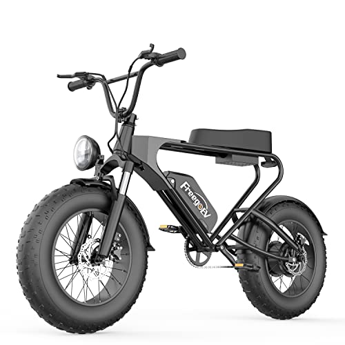 20 inch 1200W Electric Bike for Adults, Electric Bicycle with 48V 20Ah Removable Battery, Hydraulic Disc Brake E-Bike, Fat Tires Off-Road Motorbike Motorcycle