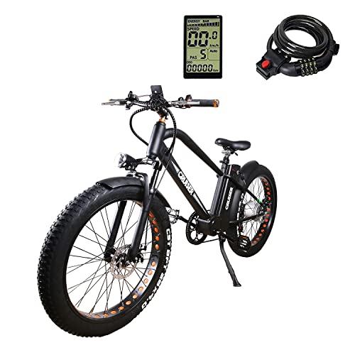Electric Bicycle Fat Tire Ebike Mountain 26" Electric Bike with 750W Brushless Motor and 48V/16AH Lithium Battery,Lock with Charger