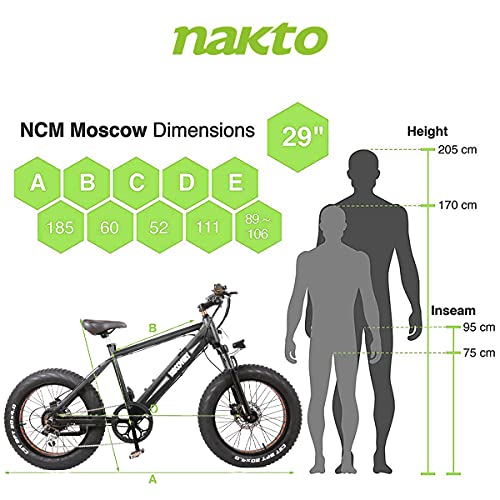 NAKTO 20" Fat Tire Electric Bike, 4 Hours Fast Charge, 350W Brushless Motor, 48V/10Ah Removable Lithium Battery, Electric Montain Bike with Shimano 6-Speed and Suspension Fork