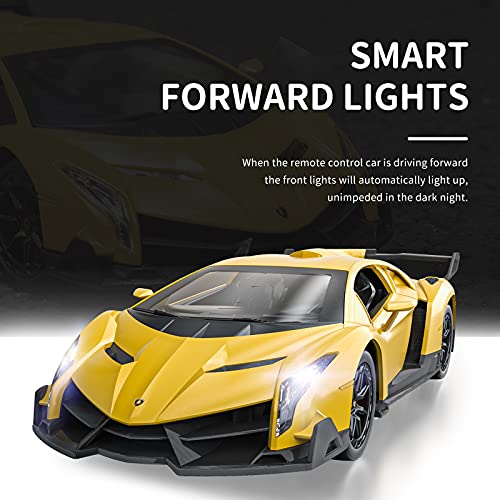 Officially Licensed RC Series, 1:24 Scale Electric Sport Racing Hobby Toy Car Lamborghini Model Vehicle for Boys Girls 3 4 5 6 7 8 9 Years Old Birthday Gifts