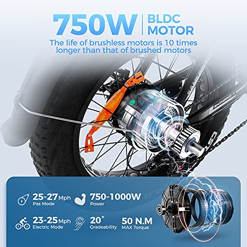 SAMEBIKE XWC05 750W Electric Bikes for Adults Up to 65 Miles EBike 4.0" Fat Tire Electric Bike 25 Mph (Black)
