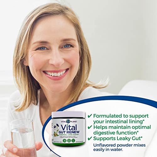 Vital Planet - Vital Gut Renew Powder Supplement Formulated with L-glutamine and Organic Aloe Vera for Intestinal Lining Support 6.88 oz