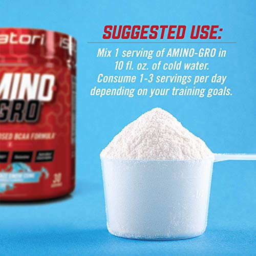 iSatori Amino-GRO BCAA Powder - Branched Chain Amino Acid Formula with Glutamine and Bio-GRO Bio-Active Peptides - Essential Amino Energy for Women and Men - Blue Razz Snow Cone (30 Servings)