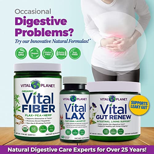Vital Planet - Vital Gut Renew Powder Supplement Formulated with L-glutamine and Organic Aloe Vera for Intestinal Lining Support 6.88 oz