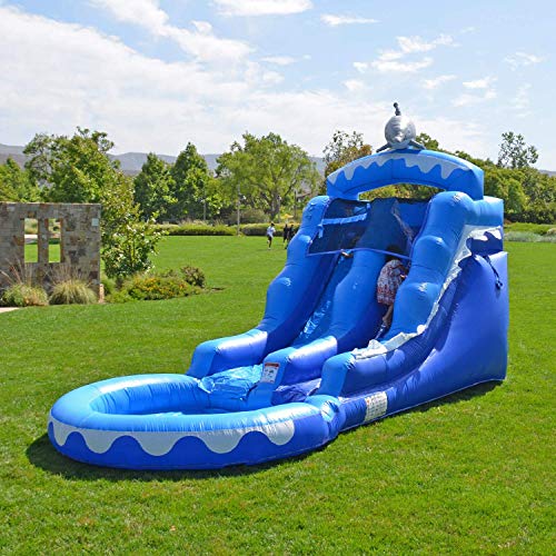 HeroKiddo Inflatable Dolphin Water Slide for Kids - Durable Commercial Grade Outdoor Soak Splash Park (Blower Included)