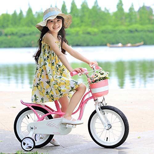 RoyalBaby Girl's Bike Little Swan 14 Inch Kids Bike with Training Wheels Basket Girls Child's Bicycle Pink