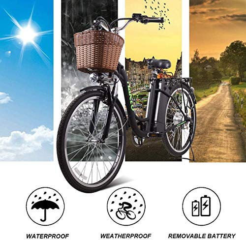26" 250W Cargo Electric Bicycle 6-Gear Speed Sporting Ebike 36V10A Lithium Battery -Class AAA(Black)