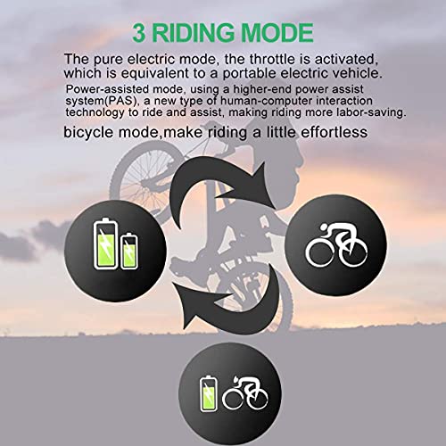 Electric Bicycle Fat Tire Ebike Mountain 26" Electric Bike with 750W Brushless Motor and 48V/16AH Lithium Battery,Lock with Charger