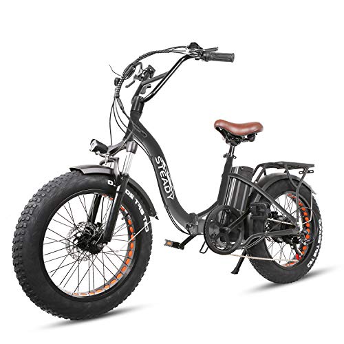 Electric Bikes for Adults, Dual Disc Brake Electric Mountain Bike, 20" 500W Motor Electric Bicycle&48V10AH Removable Lithium Battery