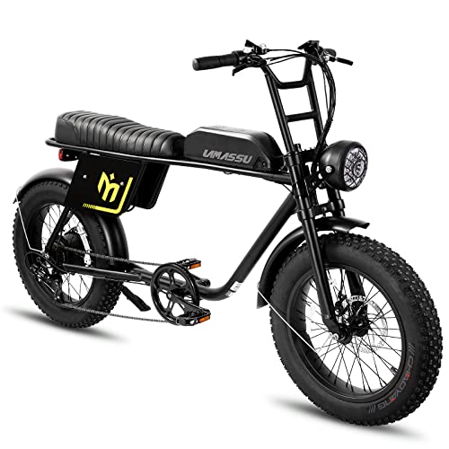 HILAND-Lamassu 20" 750W Electric Cruiser Bikes for Adults, Electric Bicycle with 48V 12.5Ah Removable Battery, 35-55 Miles 7 Speed Pedal Assist Ebike Snow Beach E-Bike for Urban Commuter Black
